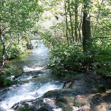 Guesthouse Marton Jezerce Zewnętrze zdjęcie