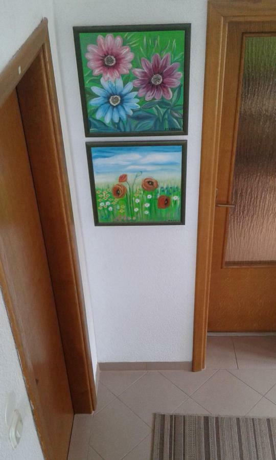 Guesthouse Marton Jezerce Zewnętrze zdjęcie